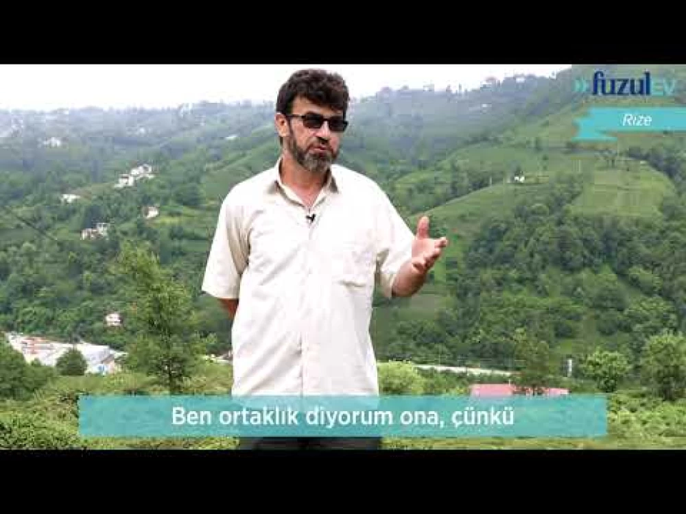 Mehmet Öksüz
