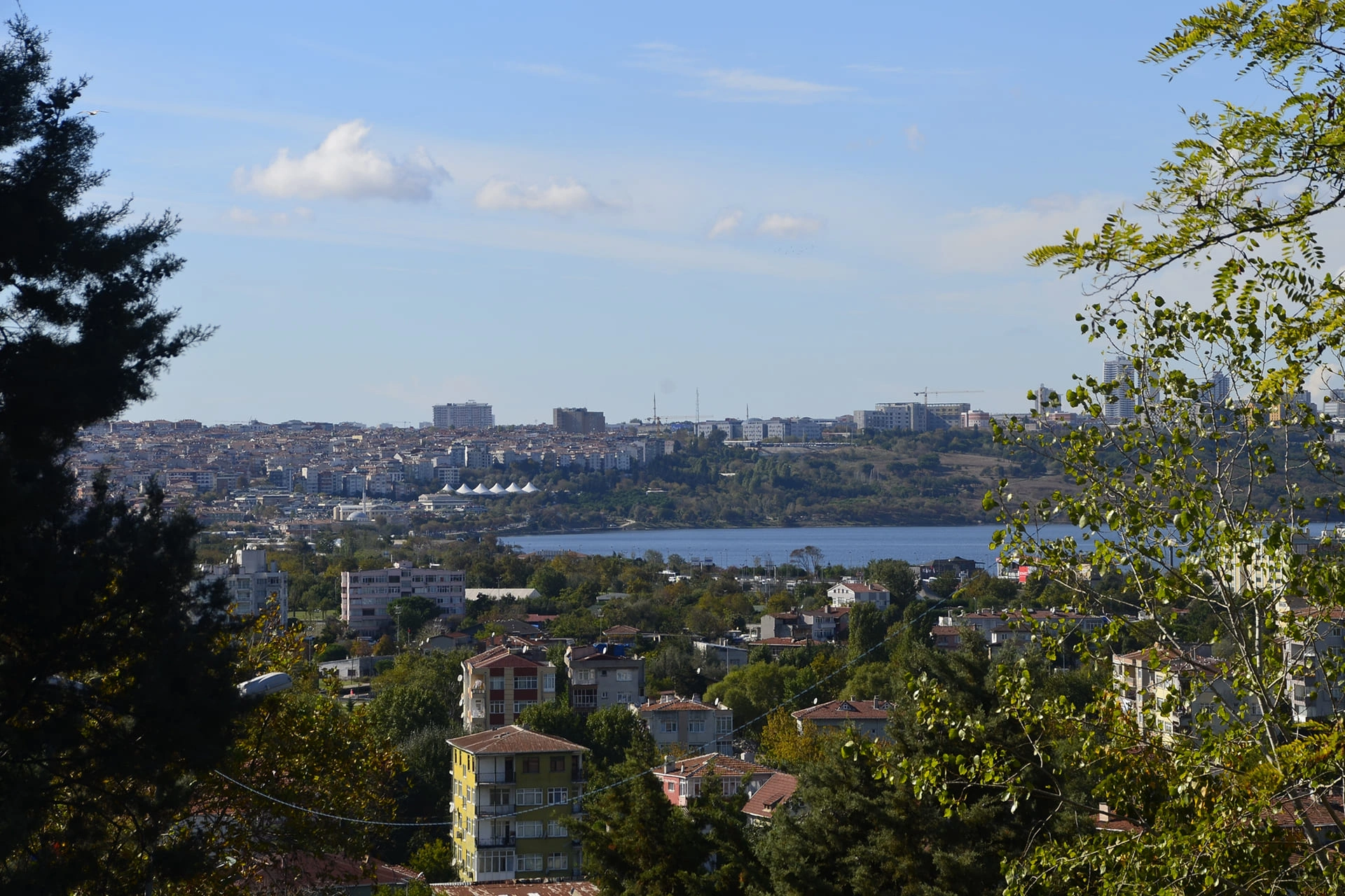 Şehir banner