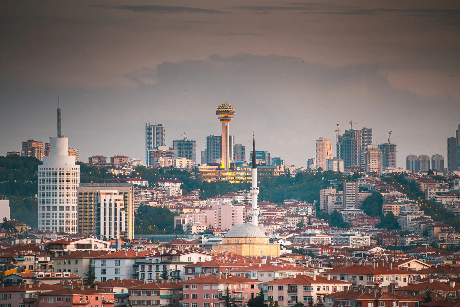 Şehir banner
