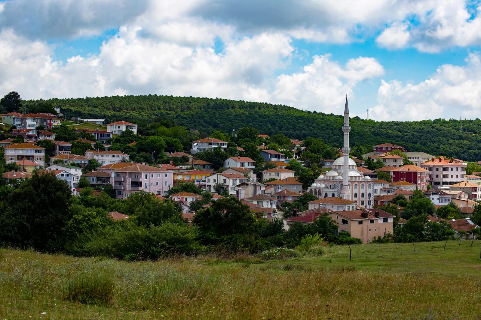 Şehir banner